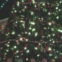 Jingle Mingle Parade 2012